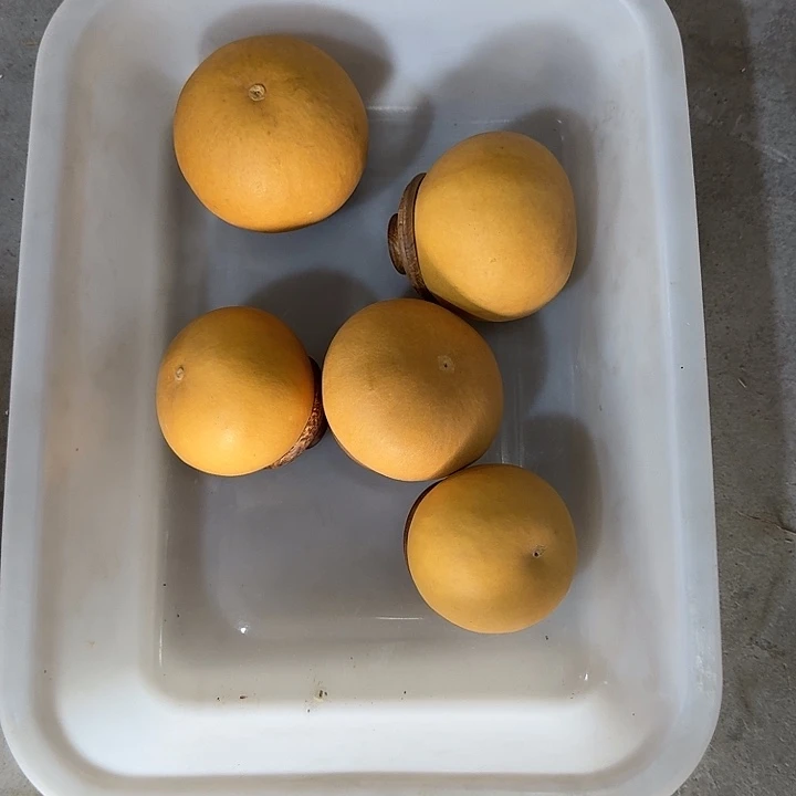 搁***丶木5个茶叶罐12356