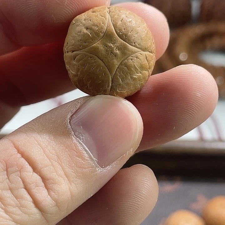 手串凤眼菩提尼泊尔小fy