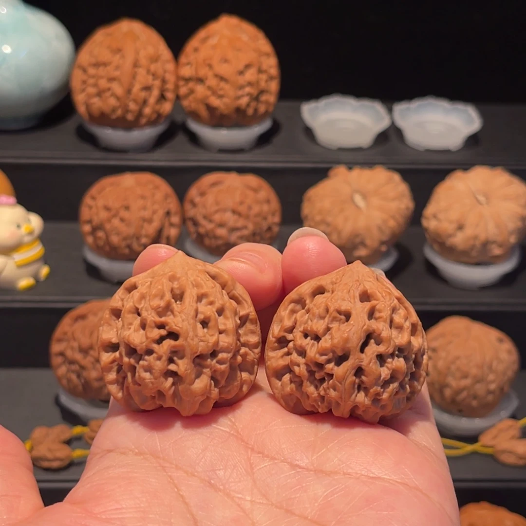 全品，货头，37太龙