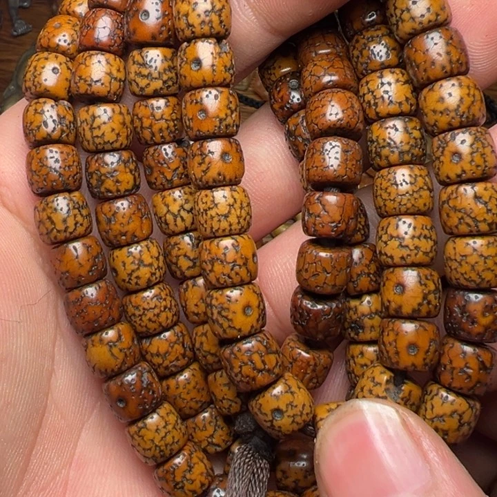 我们都会在这里等