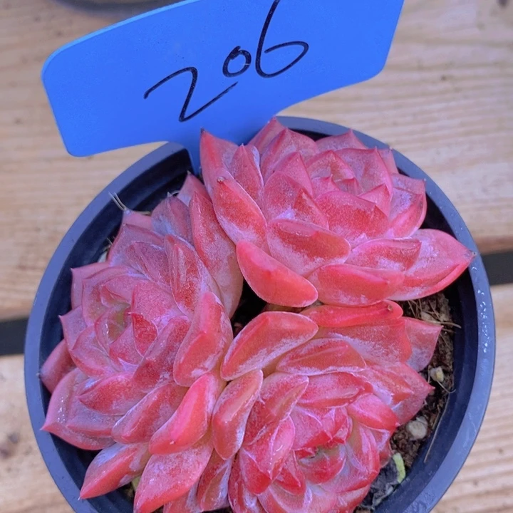 在家待几小时啊亲