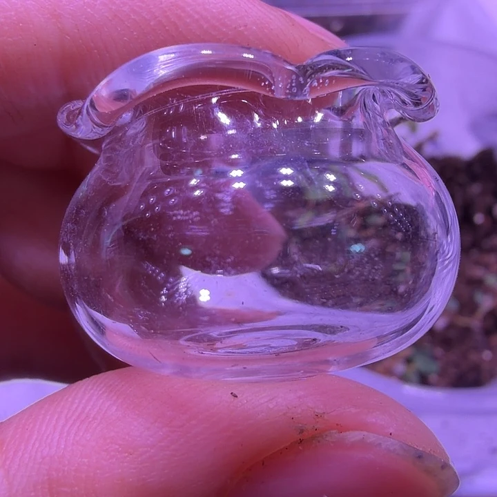 小***芳24个小号花边玻璃瓶