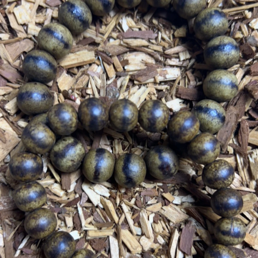 38 福来精选高端文玩