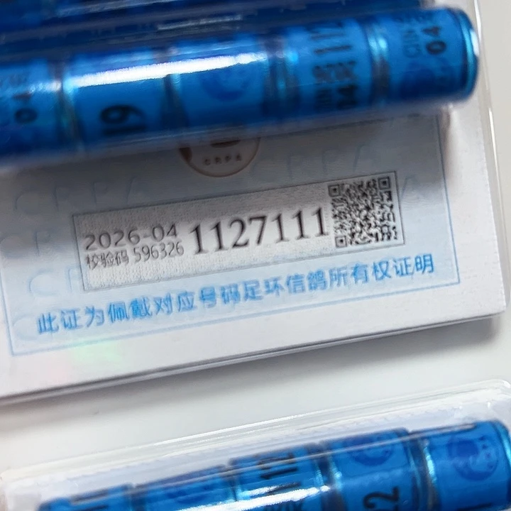 勇****饰1127111 04 信鸽环