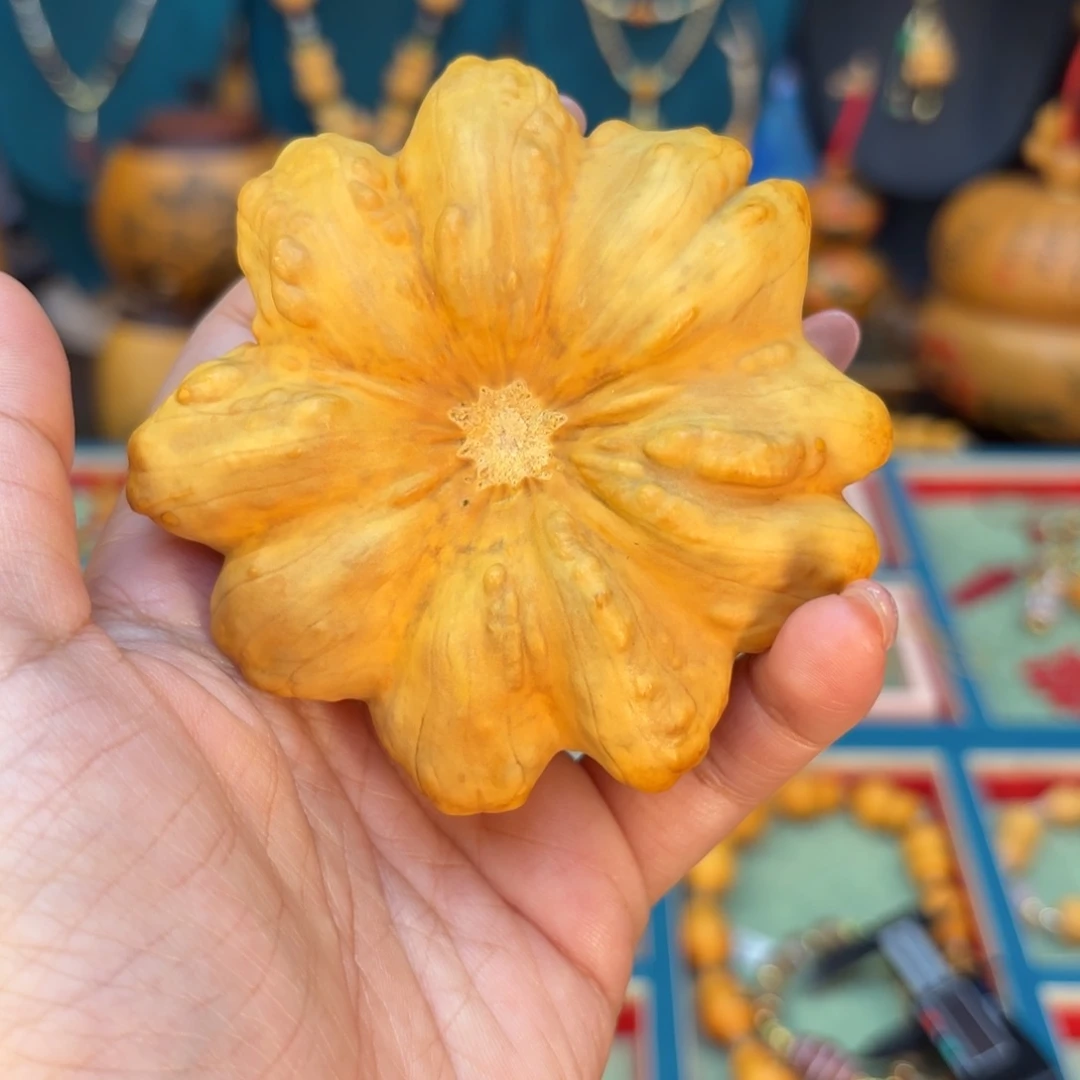 我们的目标是成为一个优秀