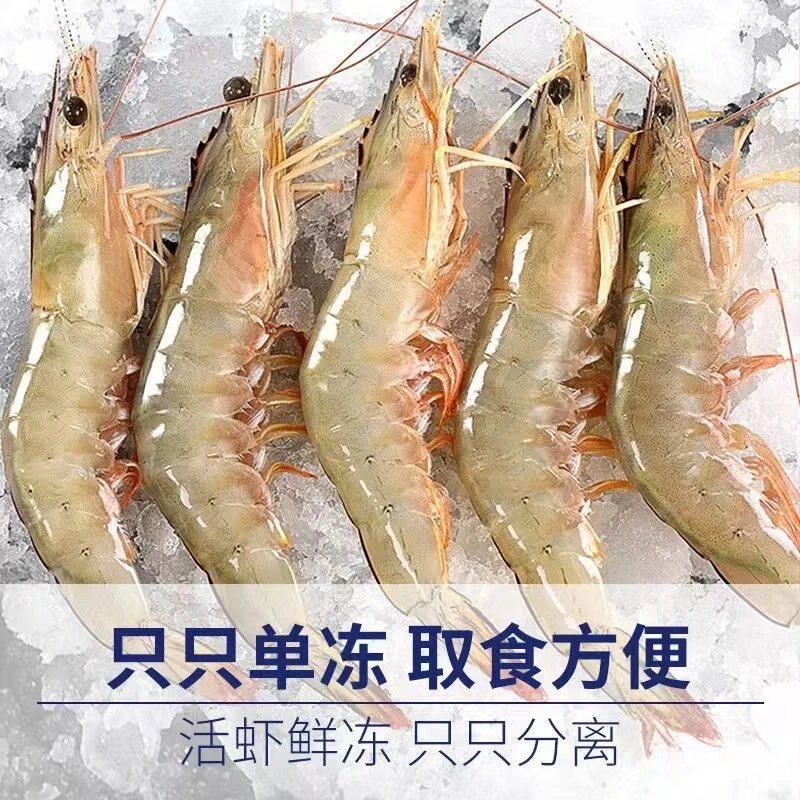 海捕野生大对虾明虾有虾膏虾黄10-13只/500克
