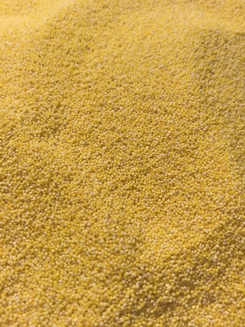 星味佳精选粘小米500