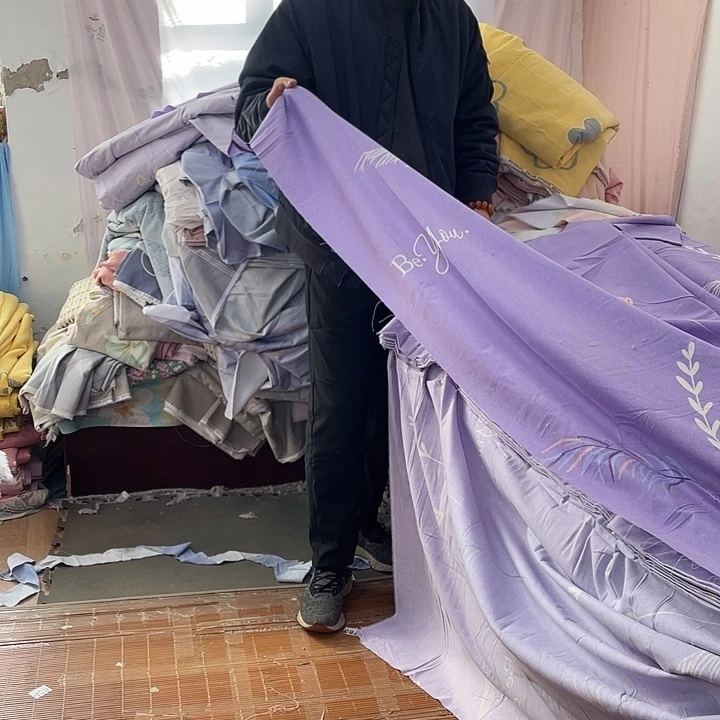 棉长绒棉紫色芦苇草12.3米