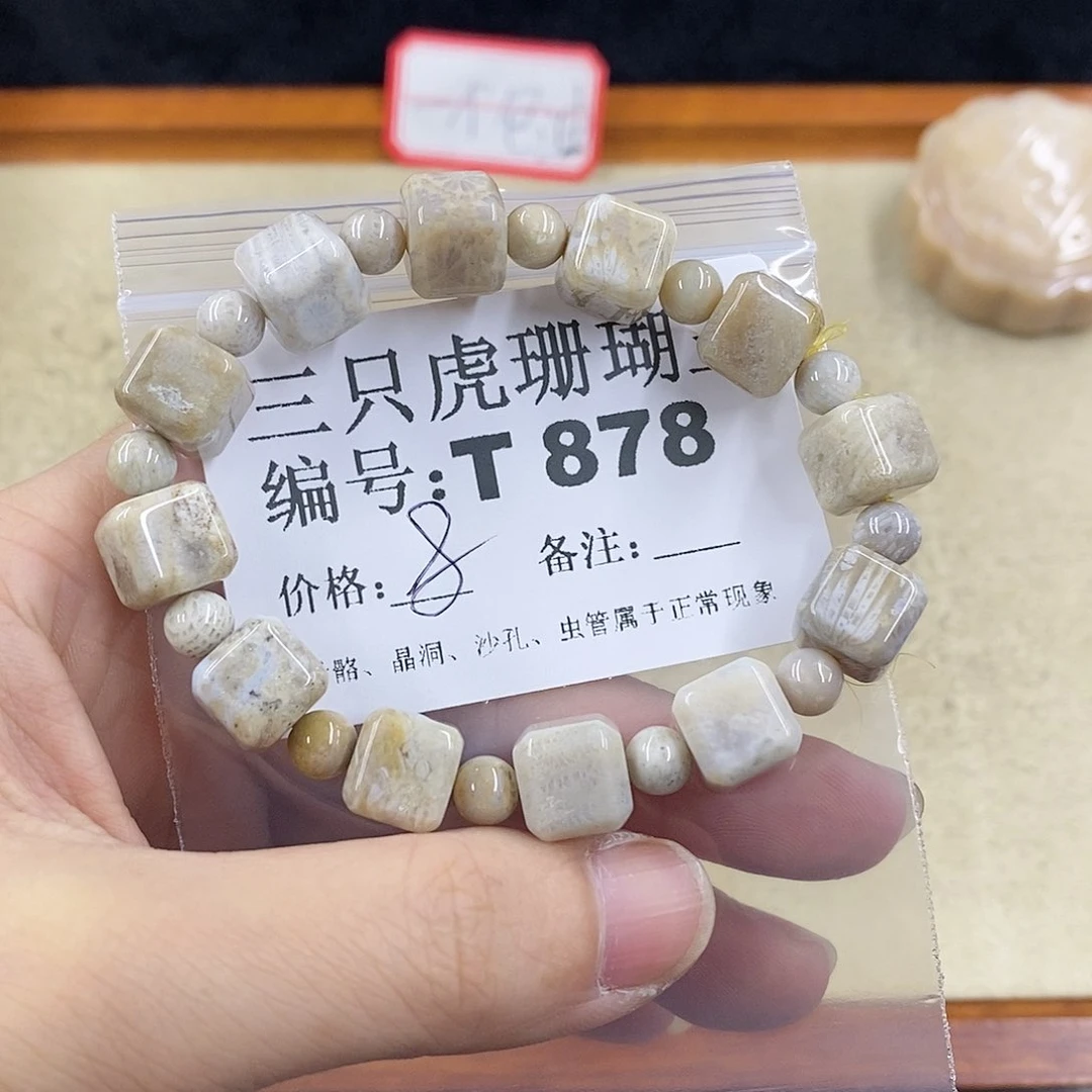 硅化珊瑚（珊瑚玉）1未镶嵌