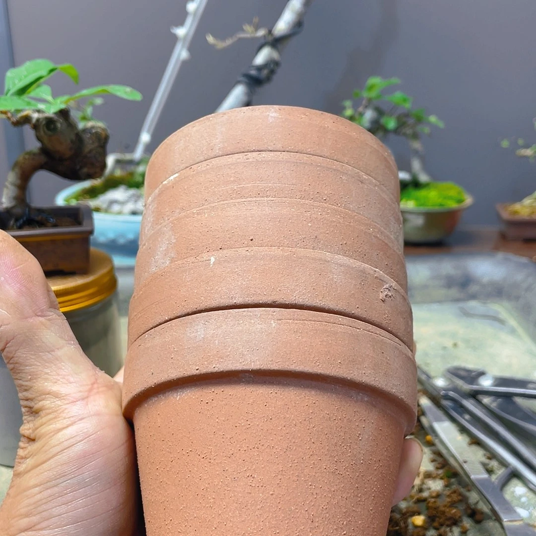 7***n无花朵五个盆盆景艺术设计