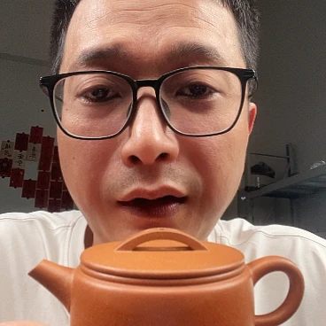 舒***哥紫砂宜兴紫砂宜兴紫砂壶