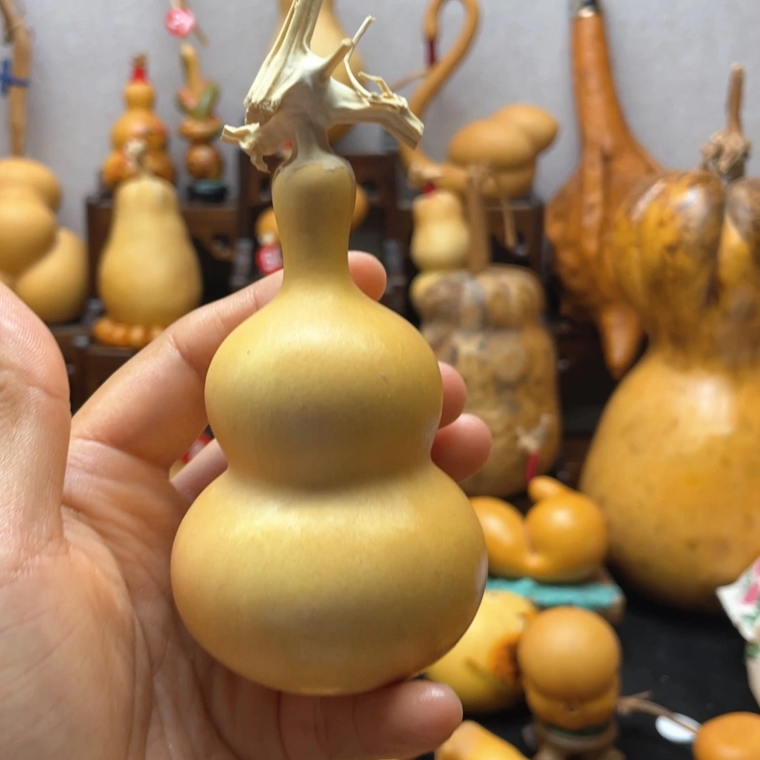 ?*壹大自然的秘密第十节第一