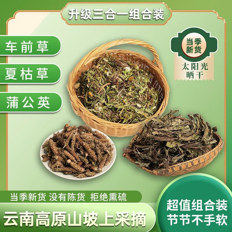 云南高原农村坡上采摘的车前草夏枯草蒲公英泡水煮水煮鸡蛋去结