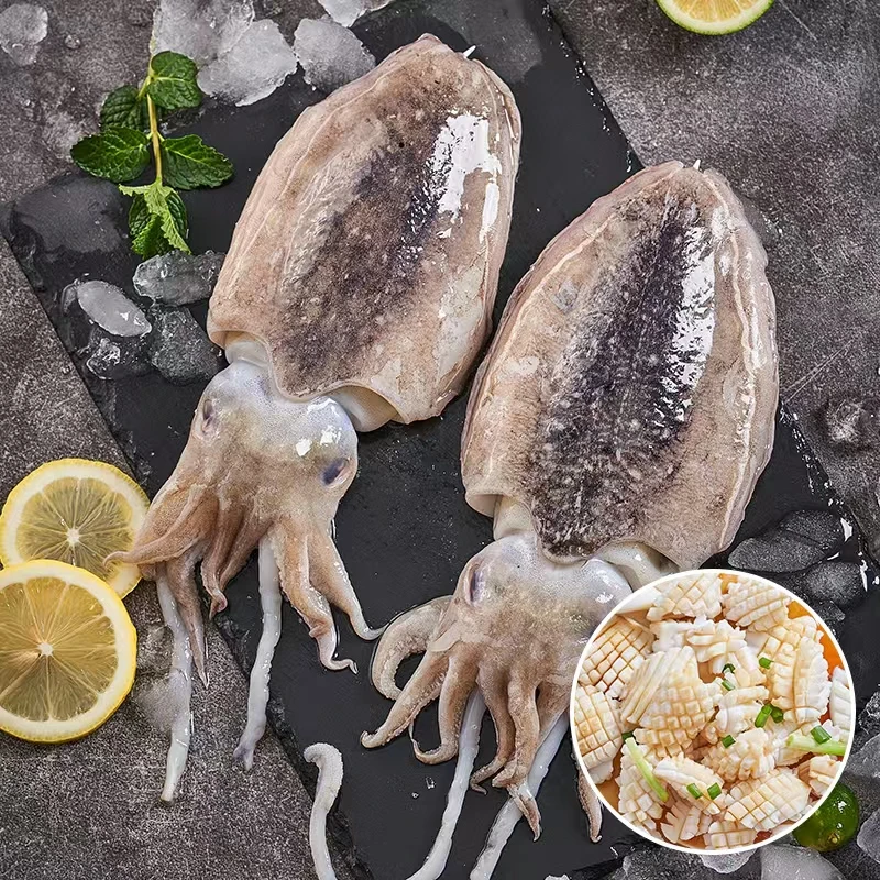 南通吕四 墨鱼350g/盒*2赠吕四紫菜220g/盒*1