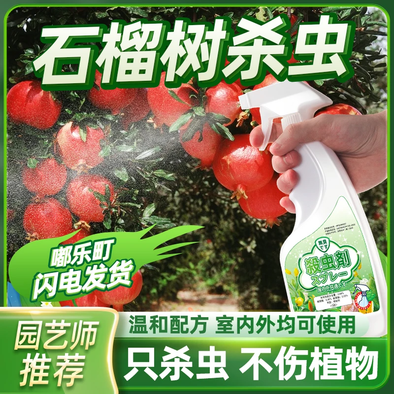 石榴树花专用药蚧壳虫果树杀虫剂虫害蚜虫防虫强力打药除虫绿植