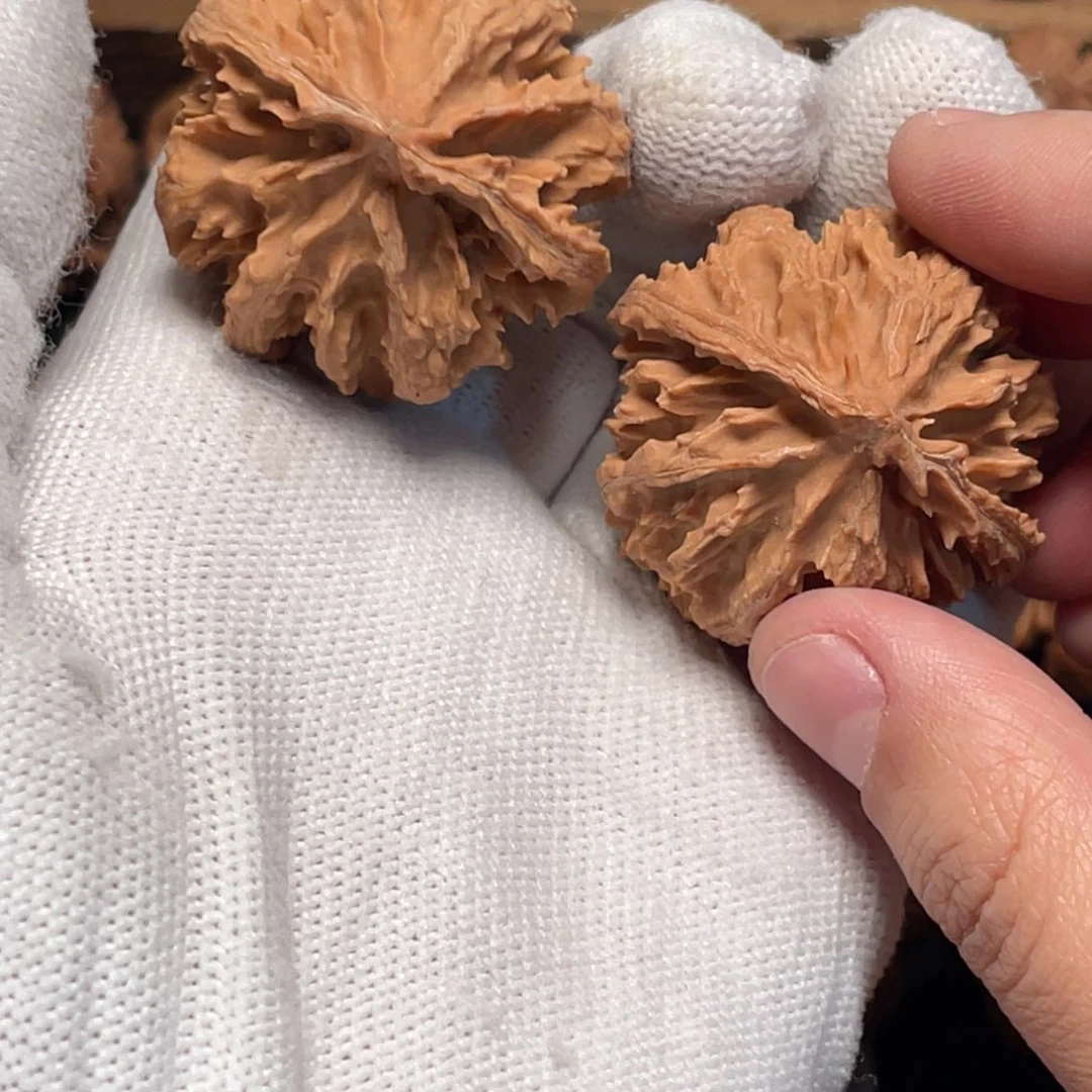 吊坠桃核2 秦岭灯笼野生小众