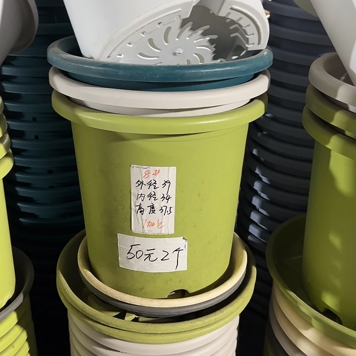 四季8#口径39果绿3个无托