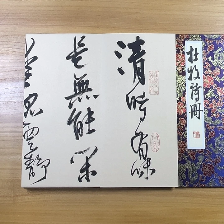 书法中书协老师作品
