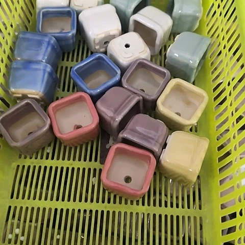 20个随机颜色·当场直播凑15元发·慎拍·