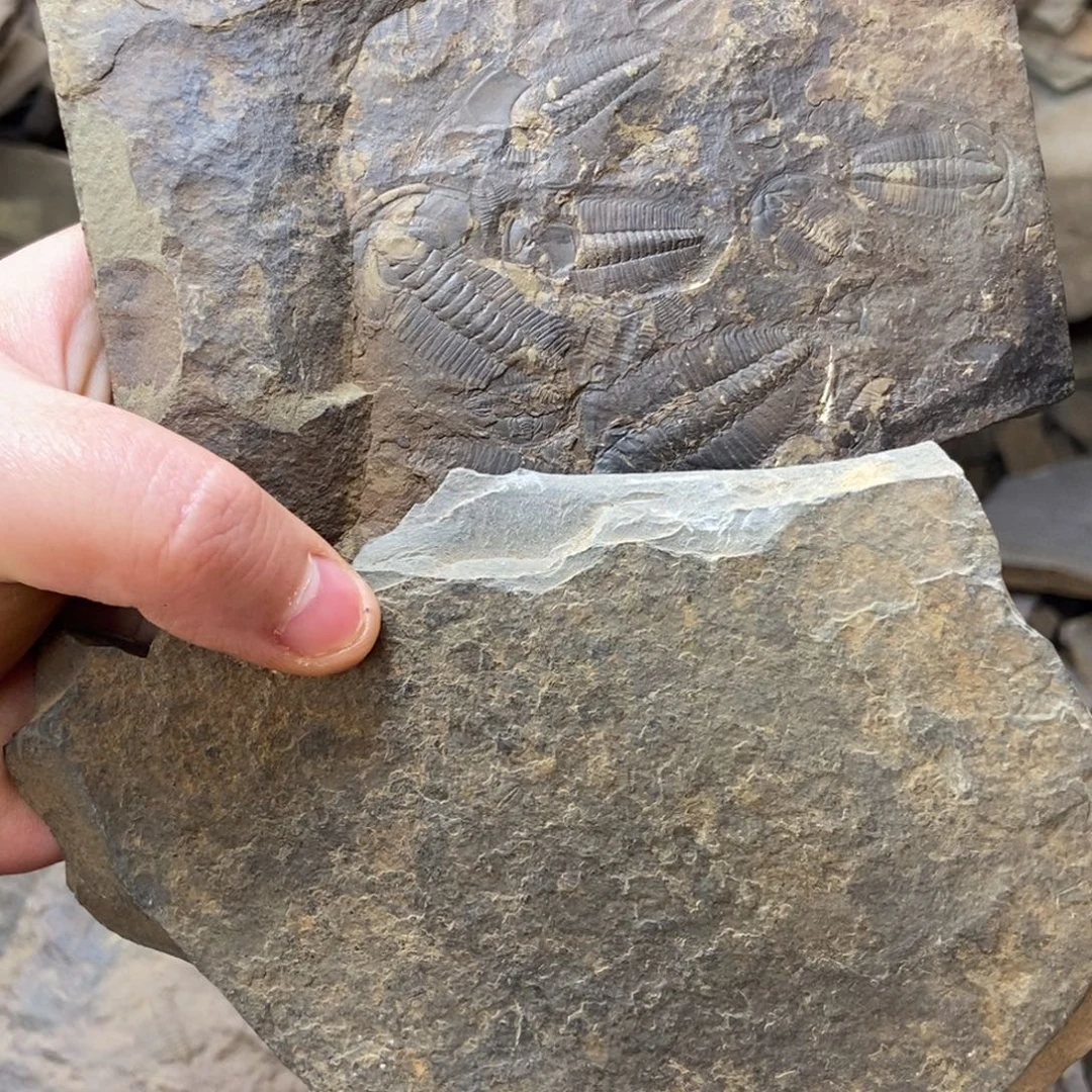 㐓***㤅石材1111111111111