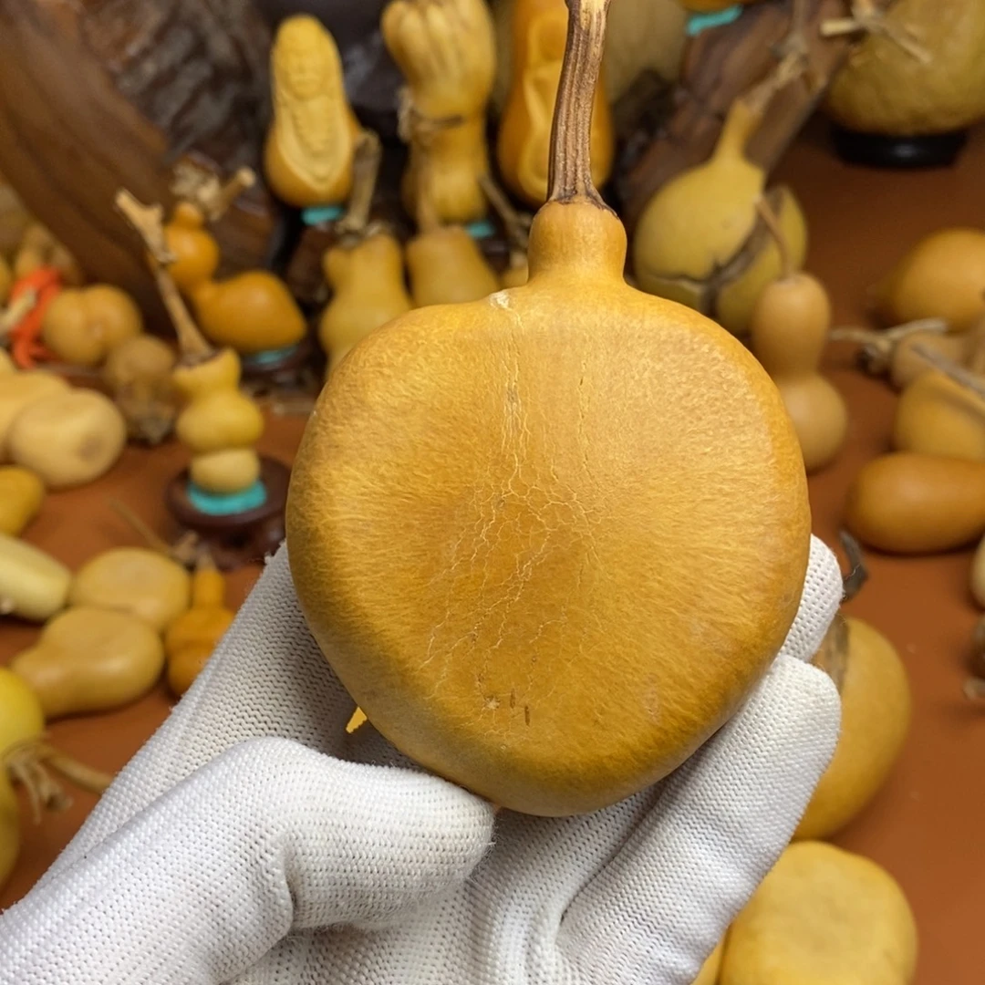 乔***琳啦啦噜啦啦噜啦噜啦