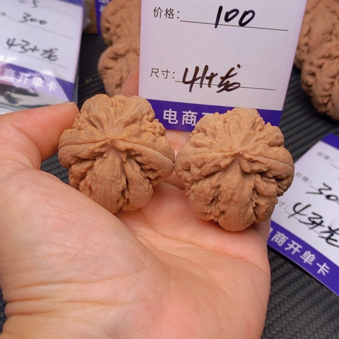 风***由文玩核桃霸王龙核桃