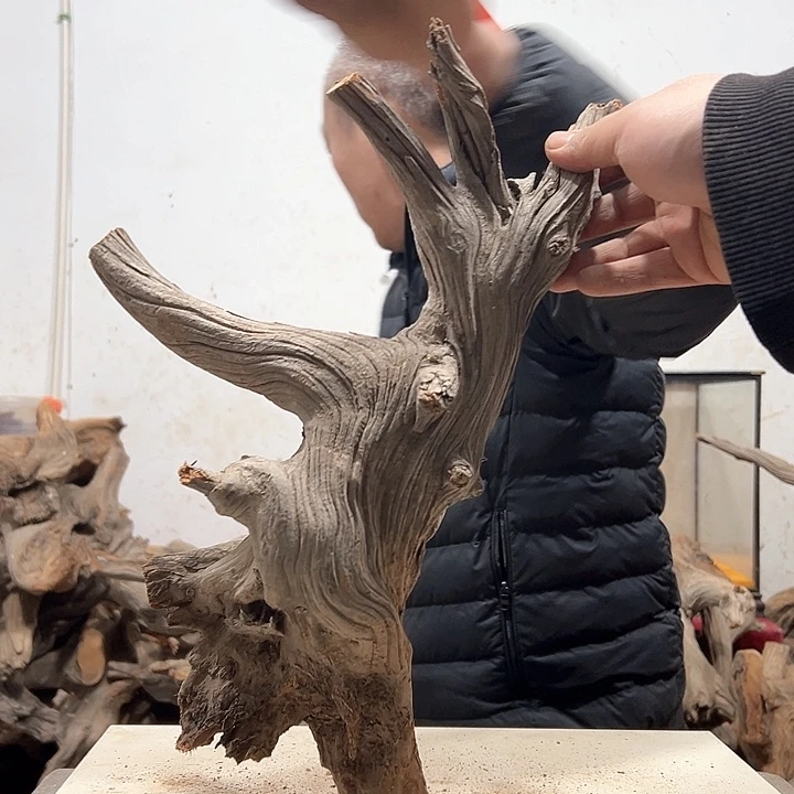 柏木二**外我们都是好孩子呀我也