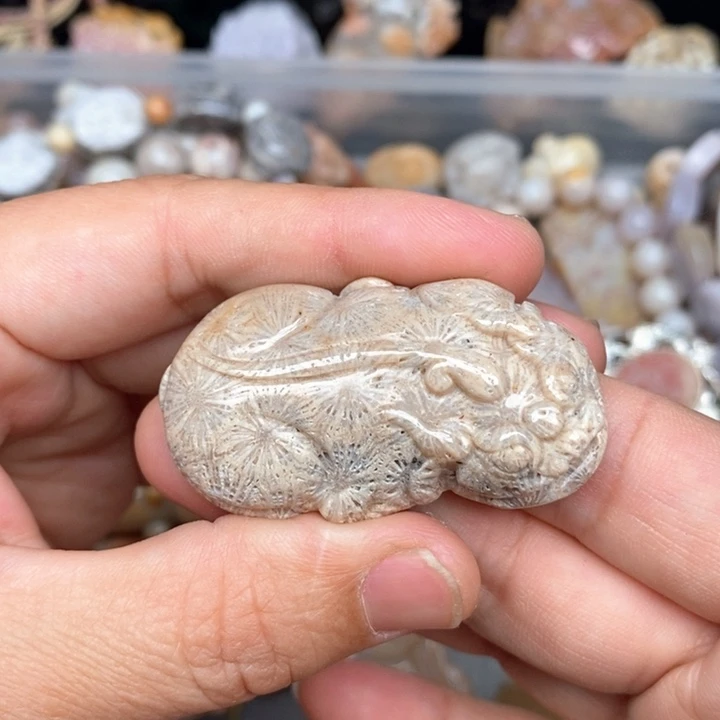 硅化珊瑚（珊瑚玉）手镯未镶嵌