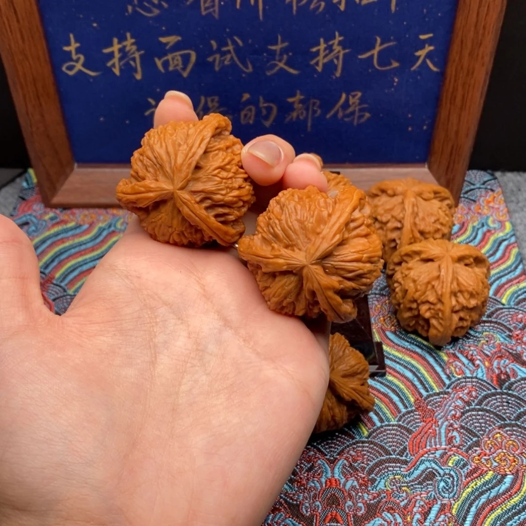 【闪购商品】鳄**叔白狮