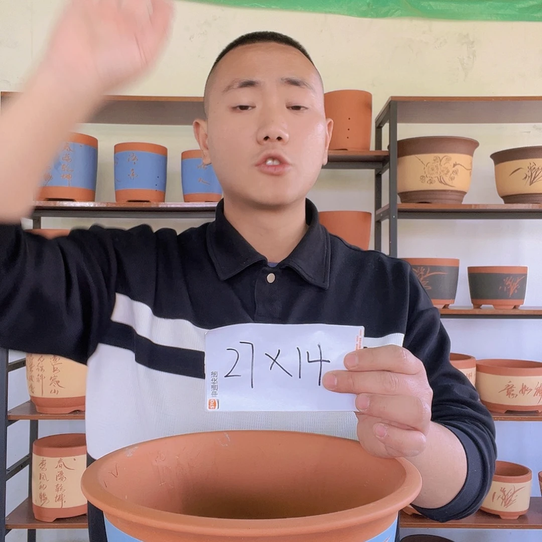 紫砂福钟山等地有分布