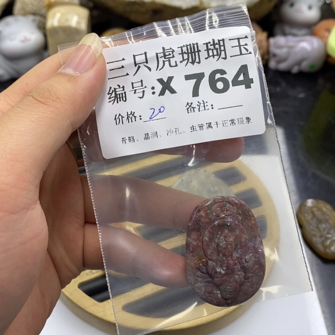 硅化珊瑚（珊瑚玉）1未镶嵌x****5