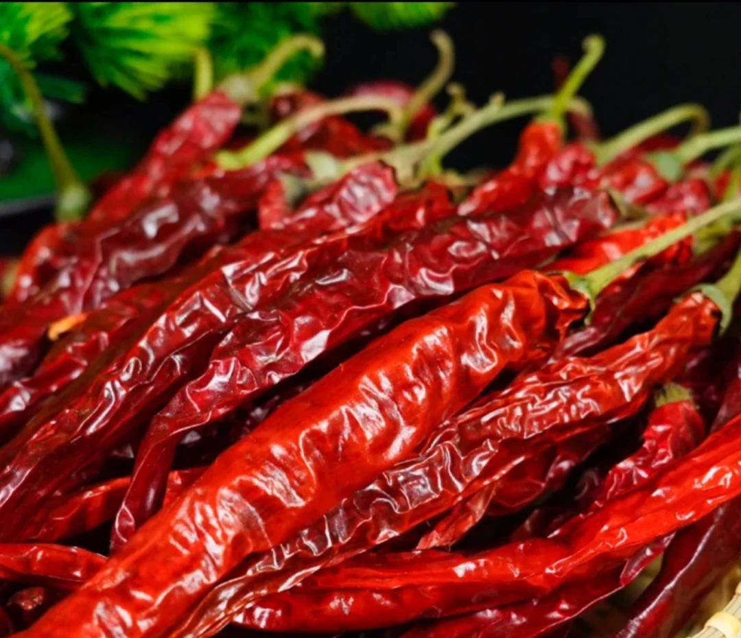农家【带把干辣椒】干锅炒菜增香美味自然晒干