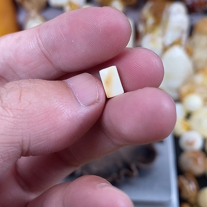 琥珀未镶嵌裸石我