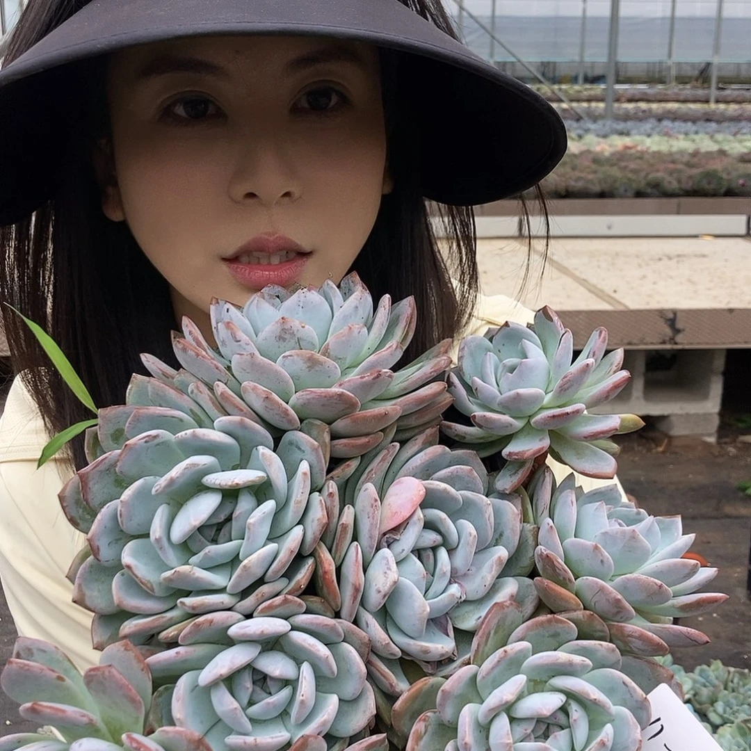 柠***茶11-88 一物一拍直播间为准