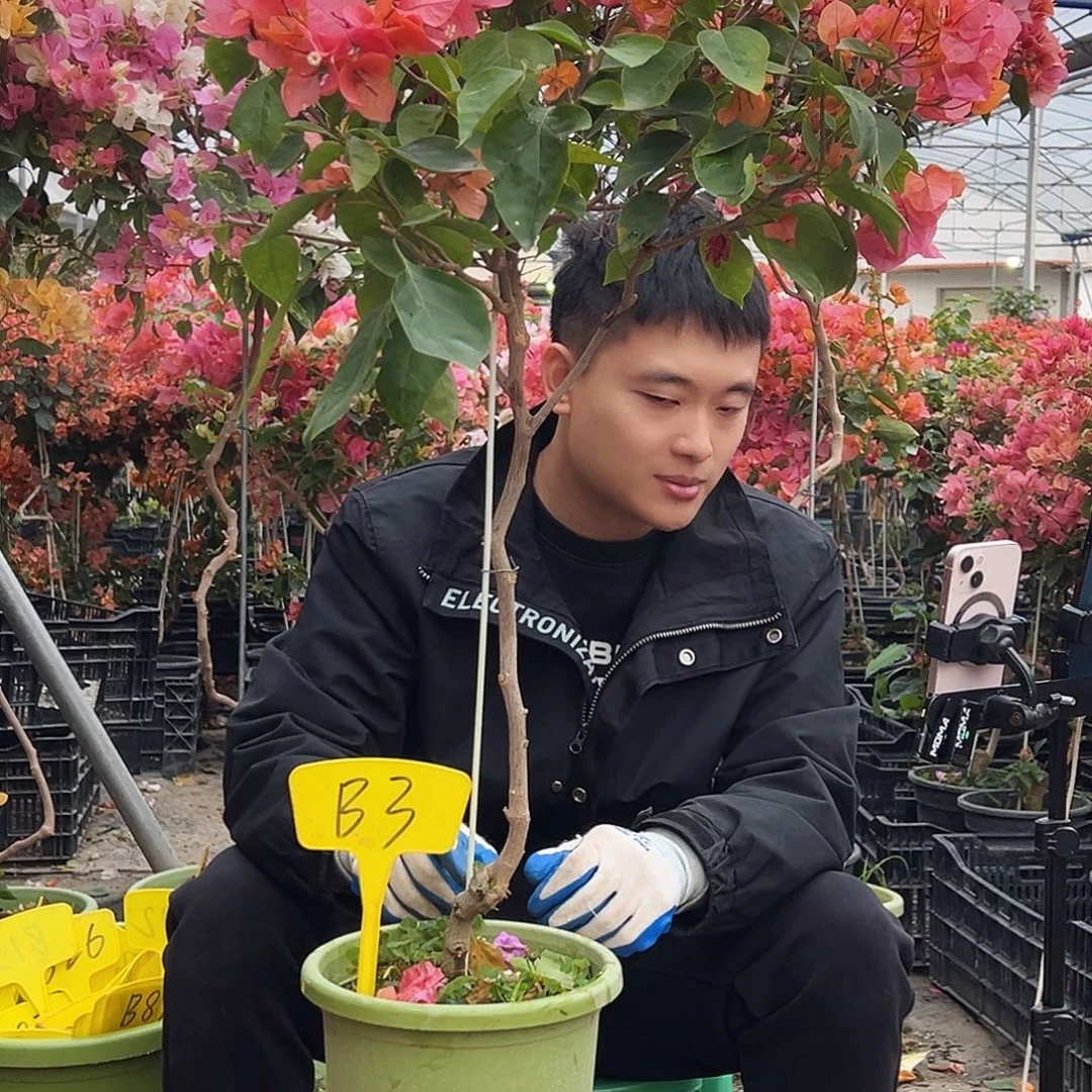 阿***X大部分花苞少量开放B3波妹