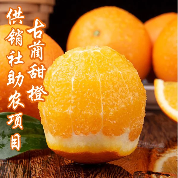 【助农专场2】古蔺甜橙/甜美脐橙/中华茗果新鲜水果香甜皮薄多汁