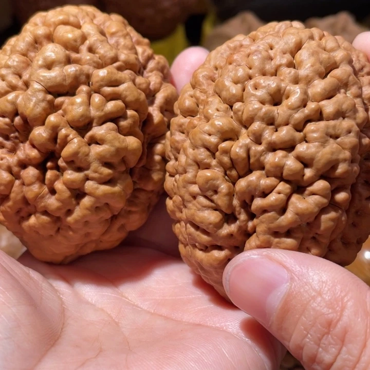 桃核把件疙瘩龙金刚