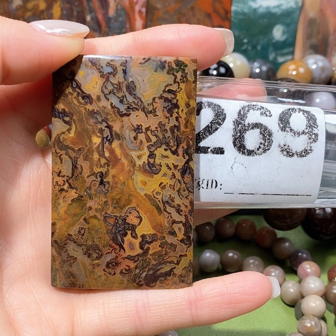 未镶嵌天然北票树化玉吊坠硅化玉