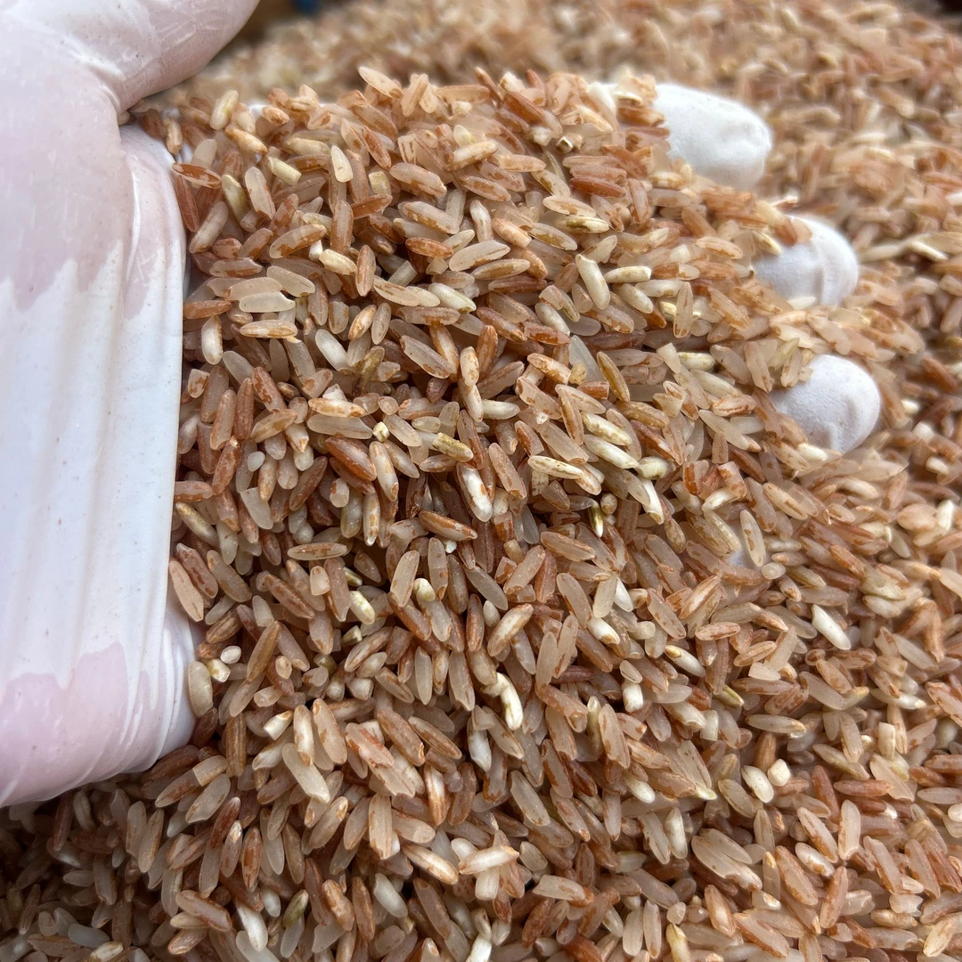 【中缅越土特产】现收 红软米 1000g食用农产品