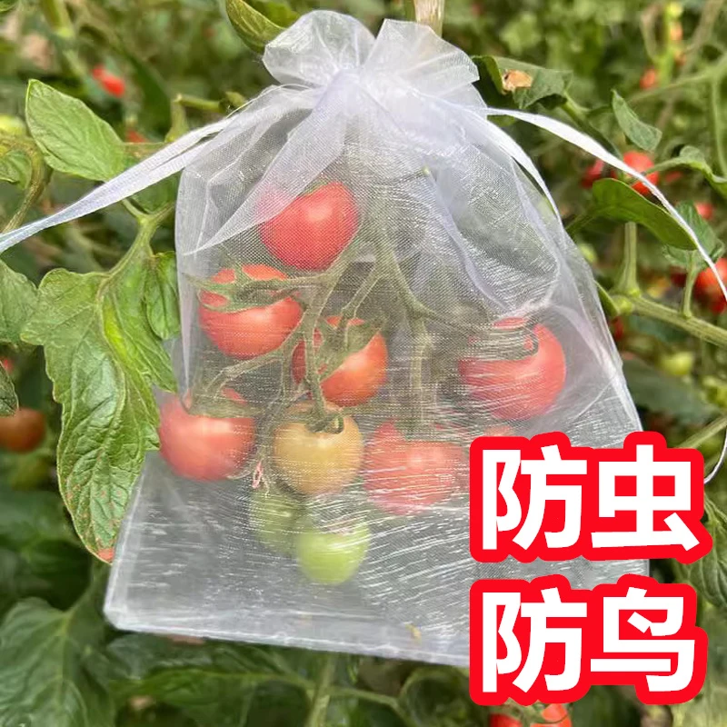 多颜色蔬果套袋透气网纱袋防蚊虫防鸟草莓西瓜园林水果蔬菜保护袋