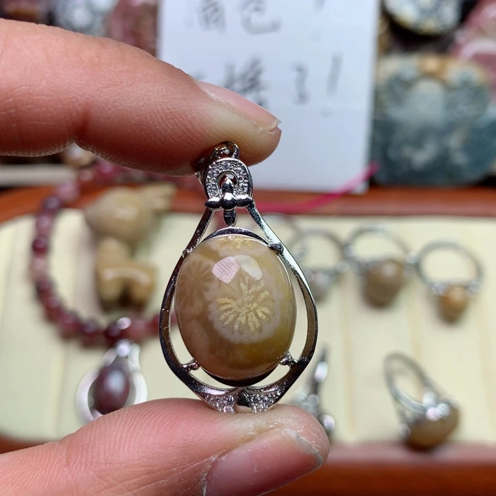 硅化珊瑚（珊瑚玉）颈饰未镶嵌