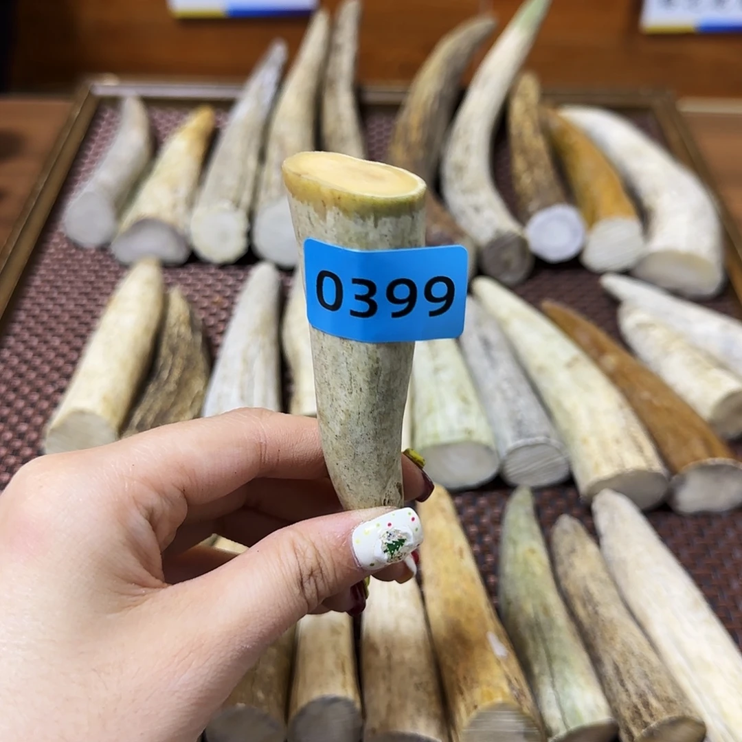 手串/手链鹿骨角尖0399