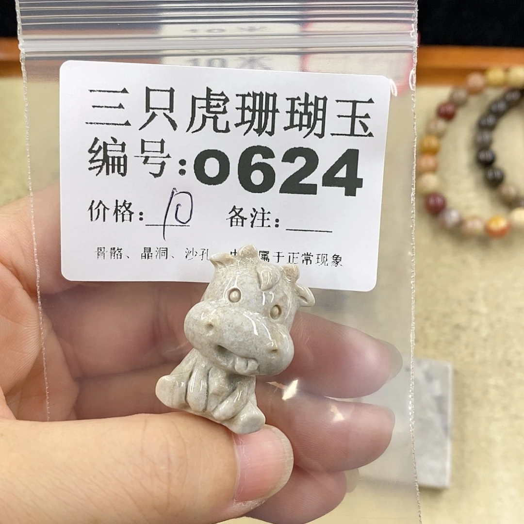 硅化珊瑚（珊瑚玉）1未镶嵌山**人