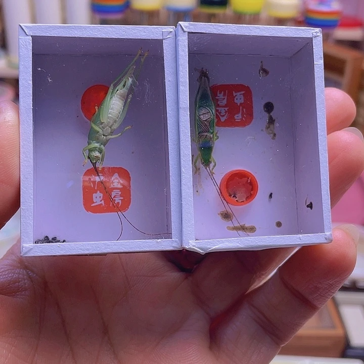 熊***二橙杆2啊啊啊啊啊啊