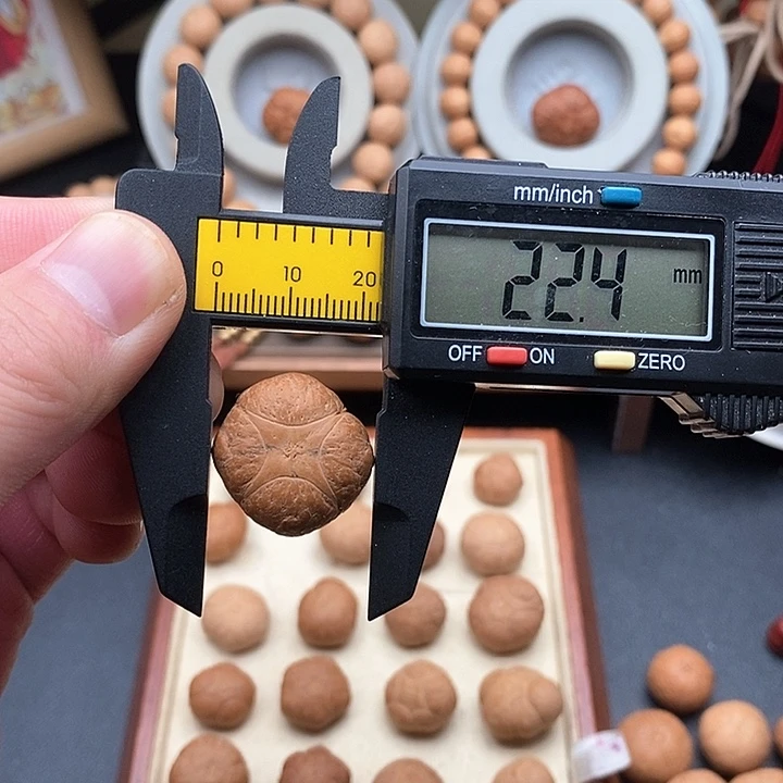 吊坠凤眼菩提尼泊尔菩提麒麟22.4