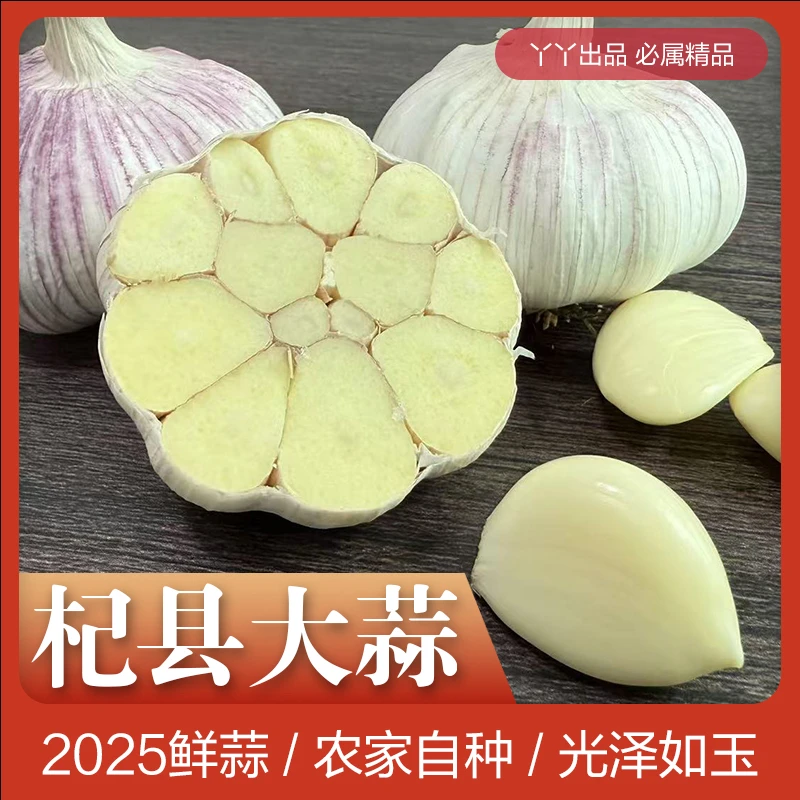 杞县大蒜 香辣 地理标志农产品 个头大 蒜汁浓稠 营养丰富