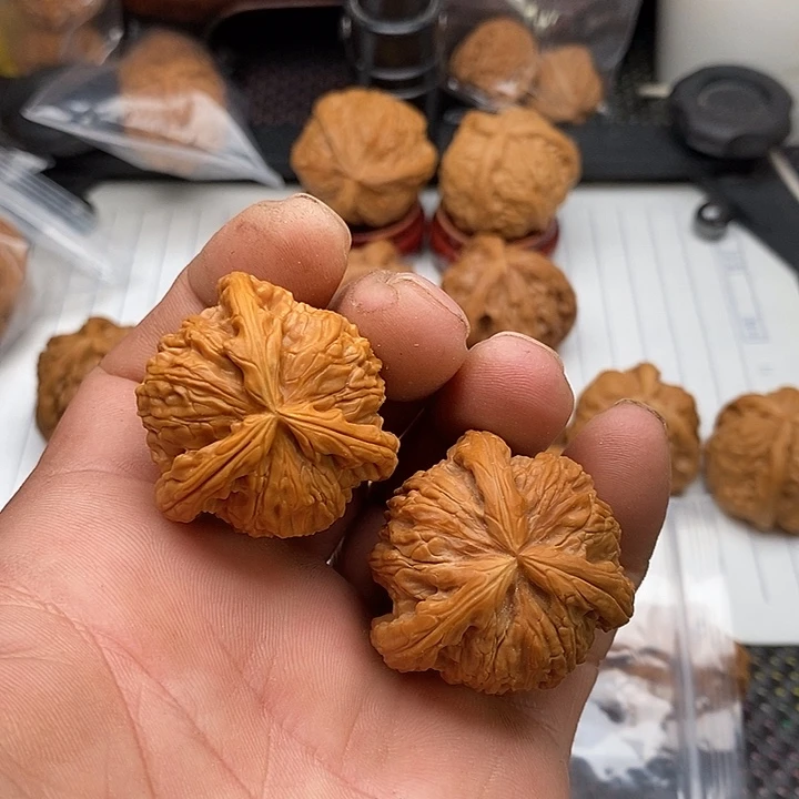 莫***托核桃手串/手链拼接三棱8