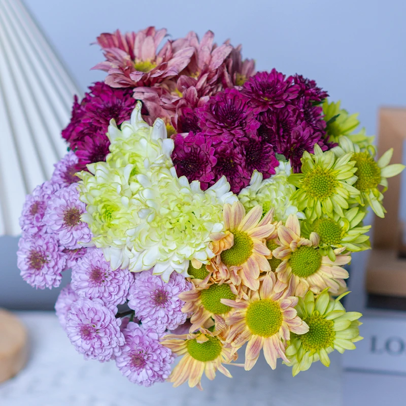鲜花 混色小雏菊 云南昆明鲜花室内办公水养花 客厅家居摆件插花