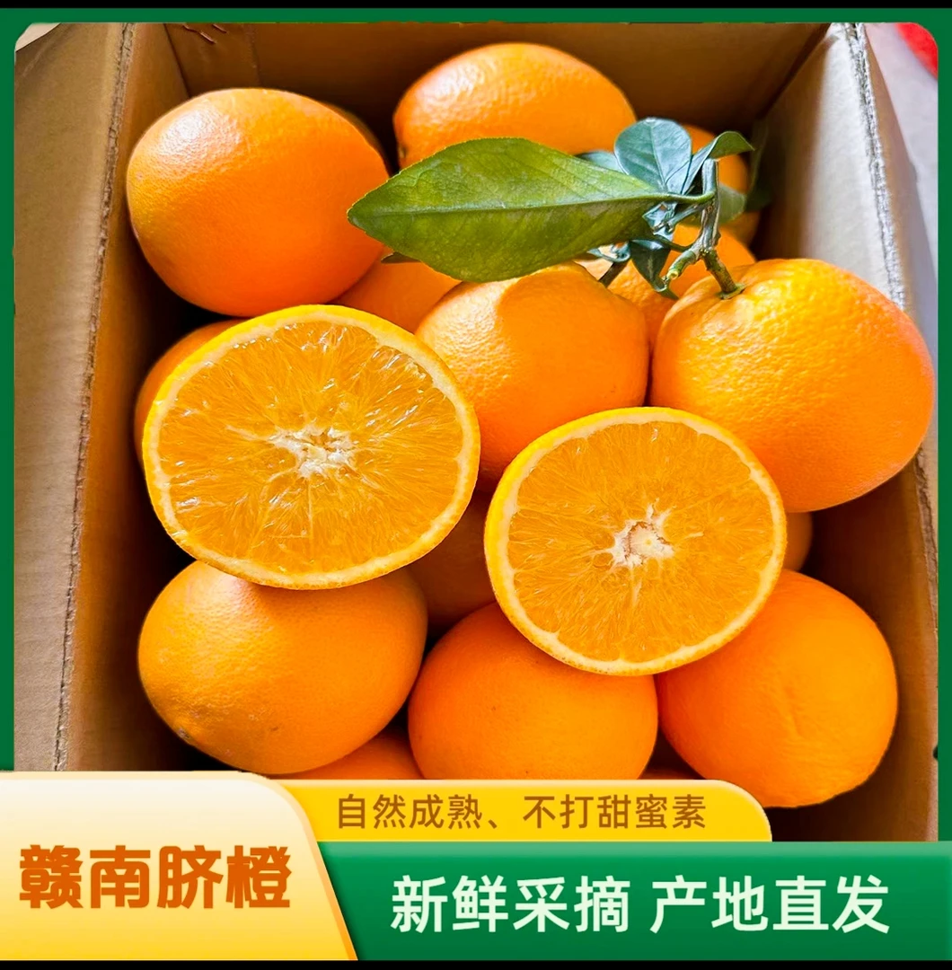 10斤现摘正宗赣南脐橙安远应季水果产地直发特产好吃彩箱