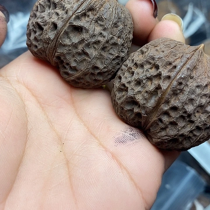 文玩核桃把件35号40nm